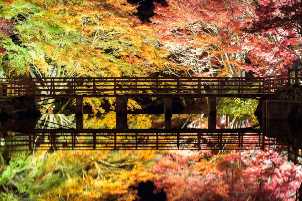 岩屋堂 紅葉|愛知県瀬戸市・尾張旭市・日進市でタクシーのご用命はマルセタクシーへ｜病院送迎・ケア施設送迎・お買い物 送迎などから、観光タクシー、空港タクシー、子育て支援タクシー、定期送迎タクシー、ジブリパークタクシーなども